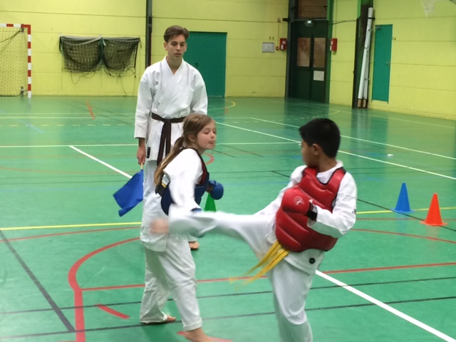 COMBAT ENZO LIZON 08 12 2015 - Copie